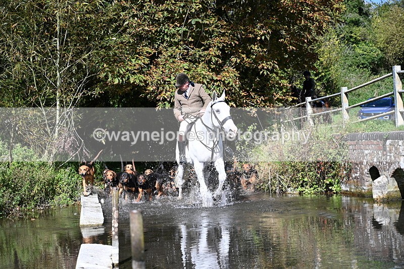 WJ7_5924 - Hounds Water Crossing