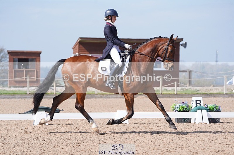 250404-122956-05671 - 028-Elizabeth.Allen-Heraldik