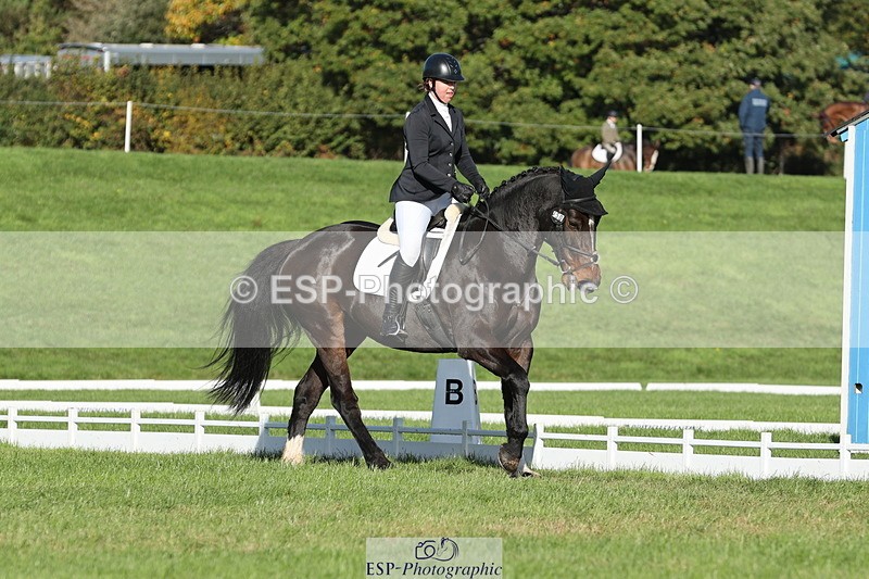 251024A-110129-07934 - D-350-Katie.Timberlake