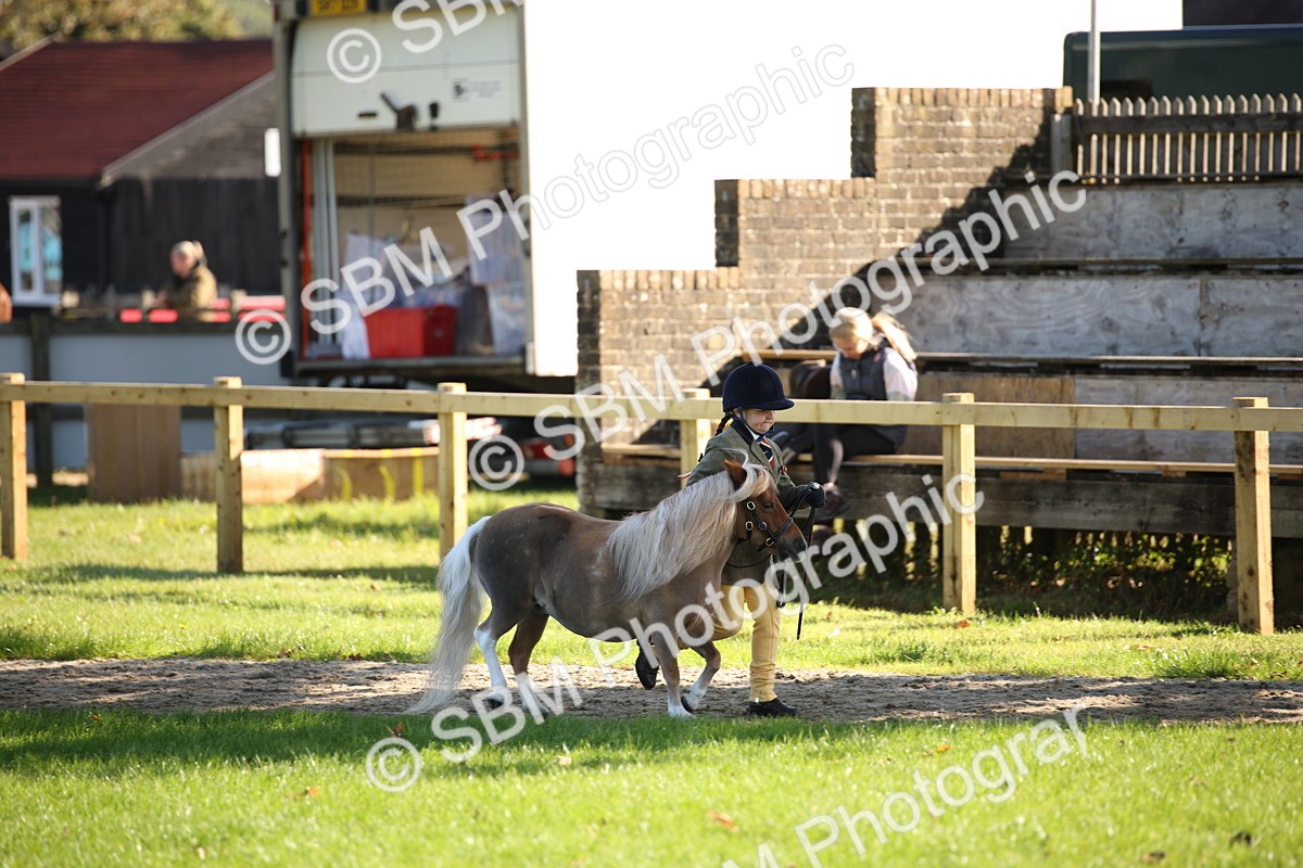 SBM_36545 - S10 - Best In Hand Horse & Pony