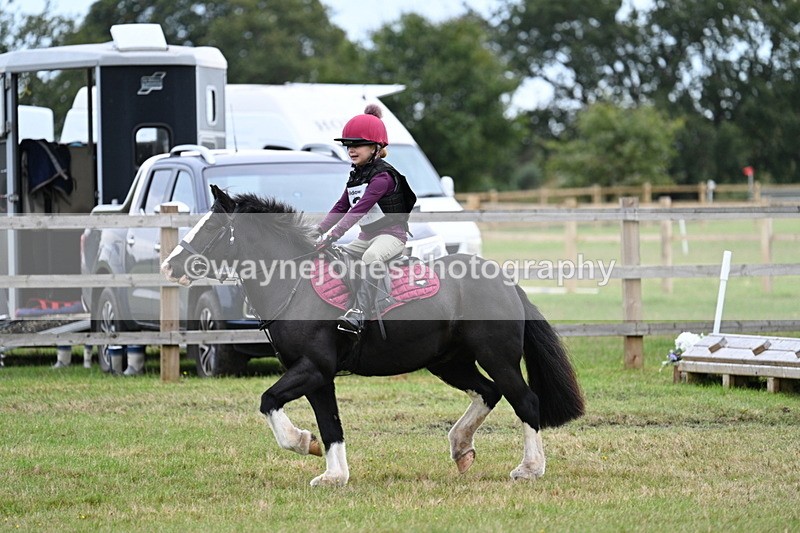 WJ7_7308 - 40cm Time 10:06 to 10:24