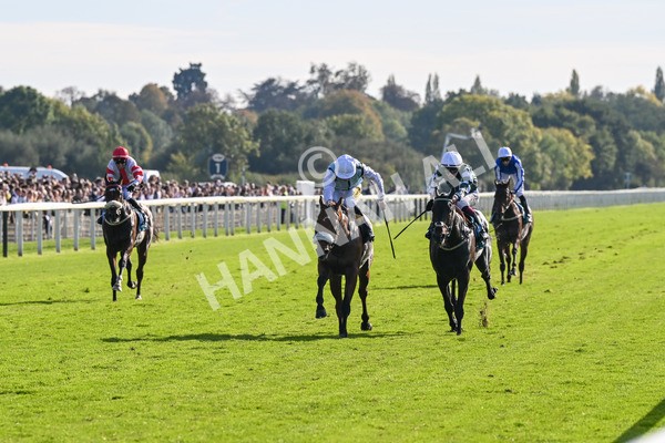 111025-Race 3-Laazm-8568 - Race 3 Coral 'Daily Reward Shaker' For Free Nursery Handicap at York