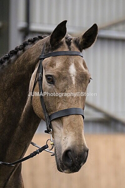 SIAL2688 - Sunday 14th Ridden
