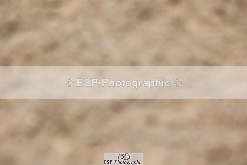 250620-131910-01259 - BD Cls 18 - Freestyle PSG-Young Rider