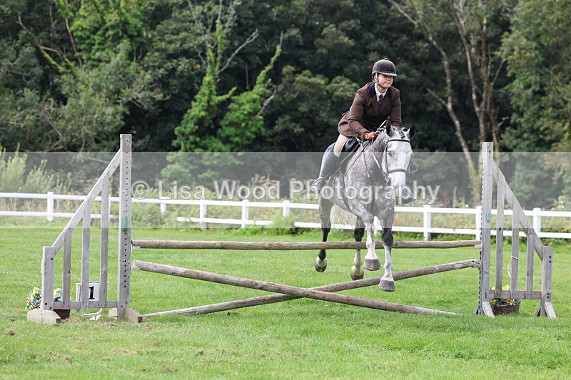 3E7A8851 - Class 6: Open Working Horse