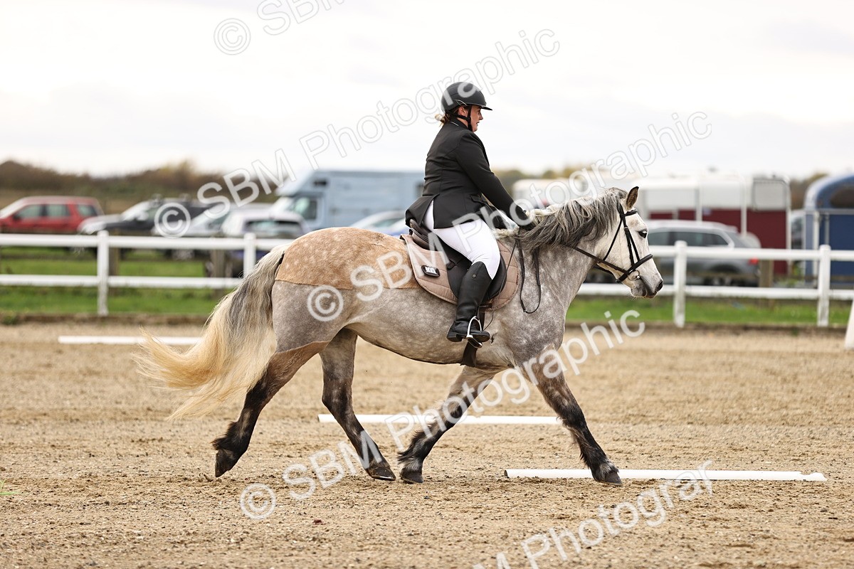 SBM_003355 - Class 5 - Prelim 1