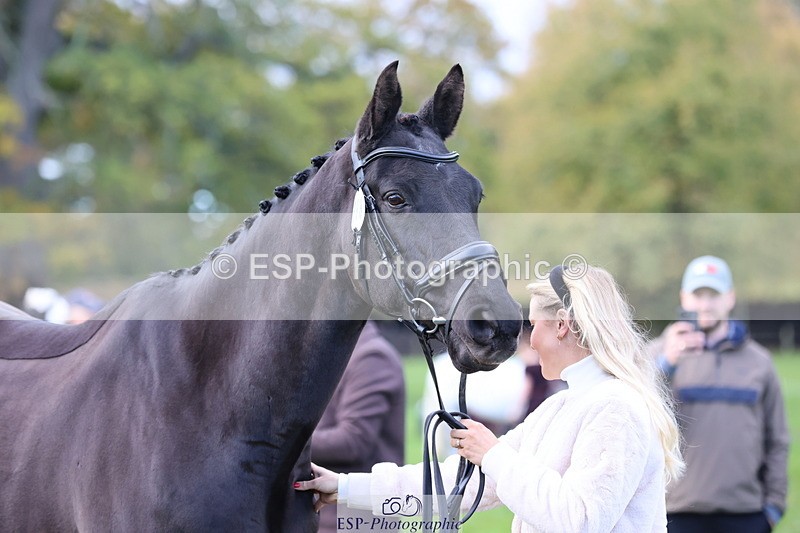 251026A-103431-23111 - E-393-Saskia.Rioux