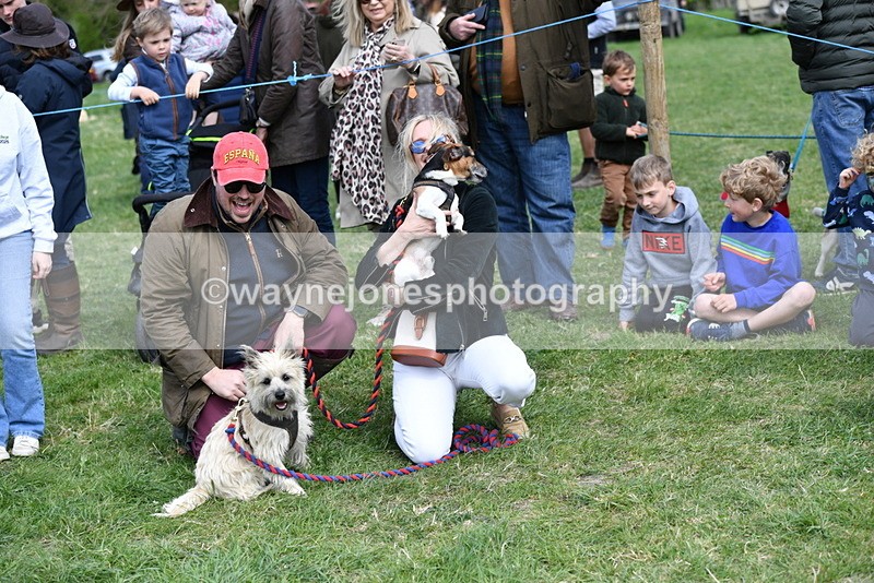 WJ5_0536 - Class 7 Best Terrier