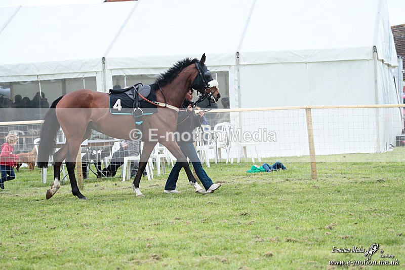 PtP 180426 1245 - Worcestershire Hunt PtP Chaddesley Corbett 18/04/26