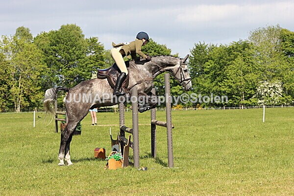 IMG_4848 - Working Hunter