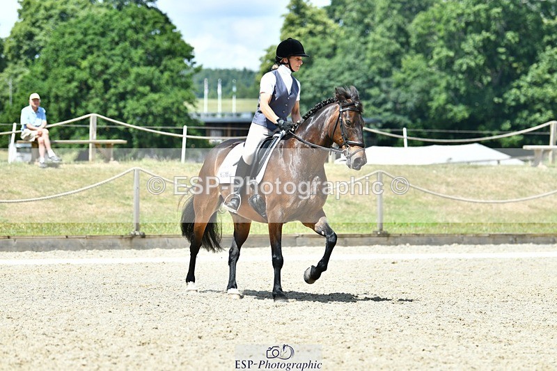 230623-123040-02235 - Cls 4 Novice 37Q Start to 12.35 break