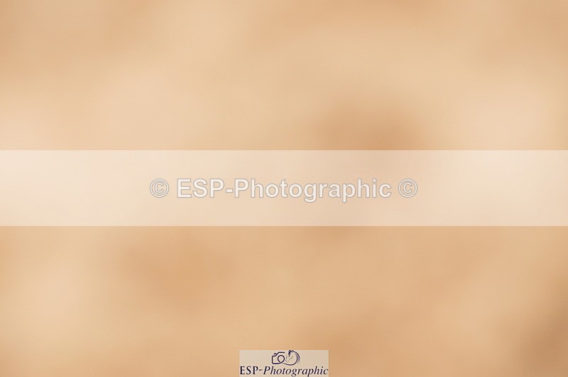 240524A-122952-03530 - Cls 15 Foxhunter