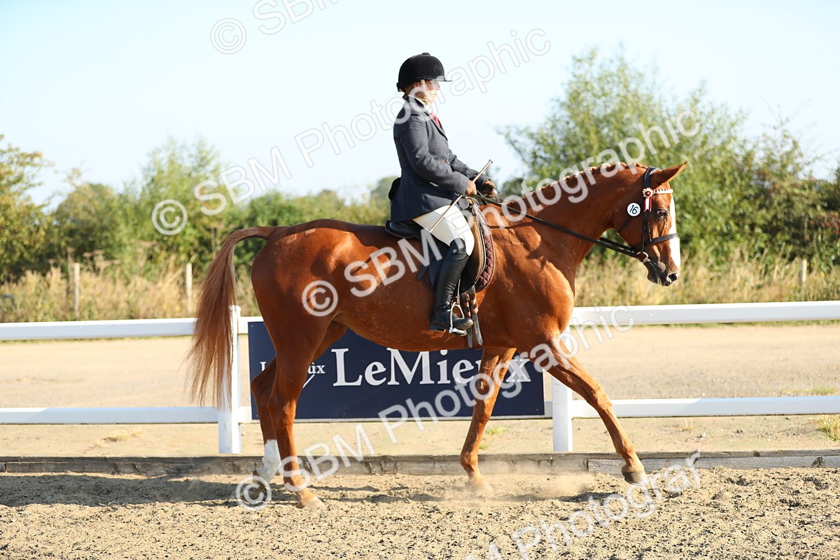 SBM_00376 - Class 41 Best Turned Out Ridden