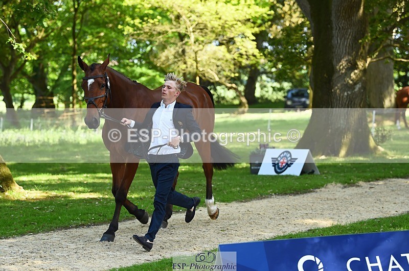 230524-160946-00725 - 264-BALLADEER_JUST_FOR_KICKS-Ellie_Healy-WEDTrotUp+DR