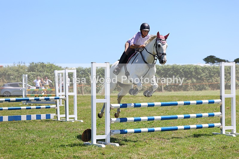 3E7A5645 - Class 9: Senior British Novice/90cm open