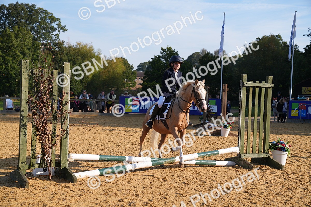 SBM_59074 - J63 - Minis Clear Round 30cm 40cm