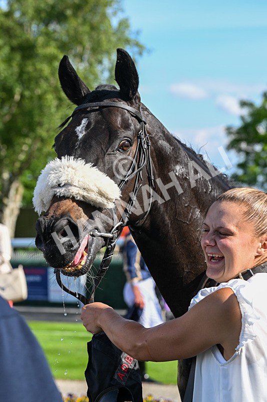 280525-Race 7-Blackcurrent-6343 - Race 7