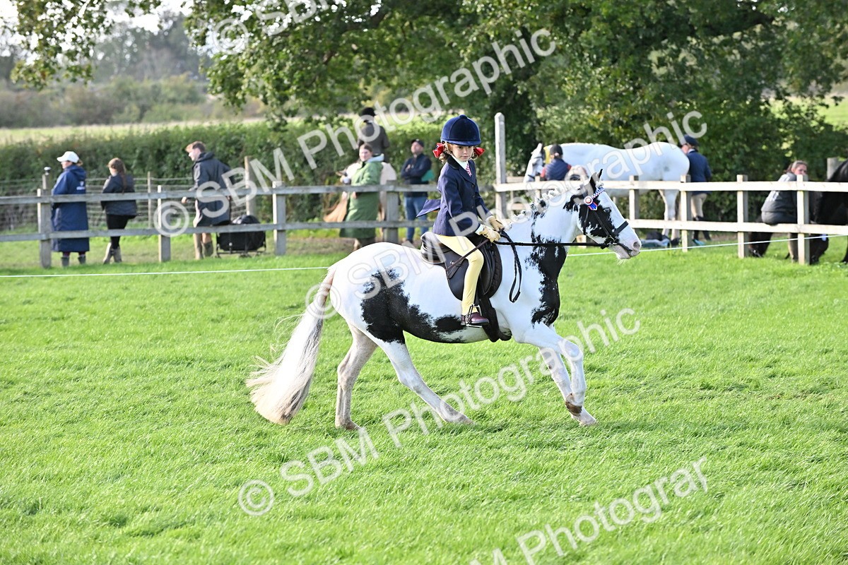 SBM_51231 - S22 - First Ridden show and show Hunter Pony