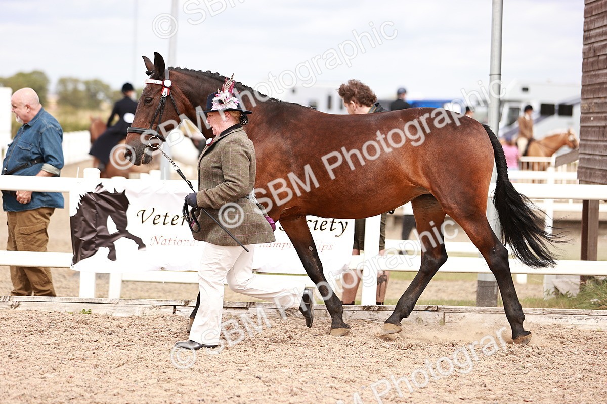 SBM_16338 - Class 413 - Best Condition - Adult