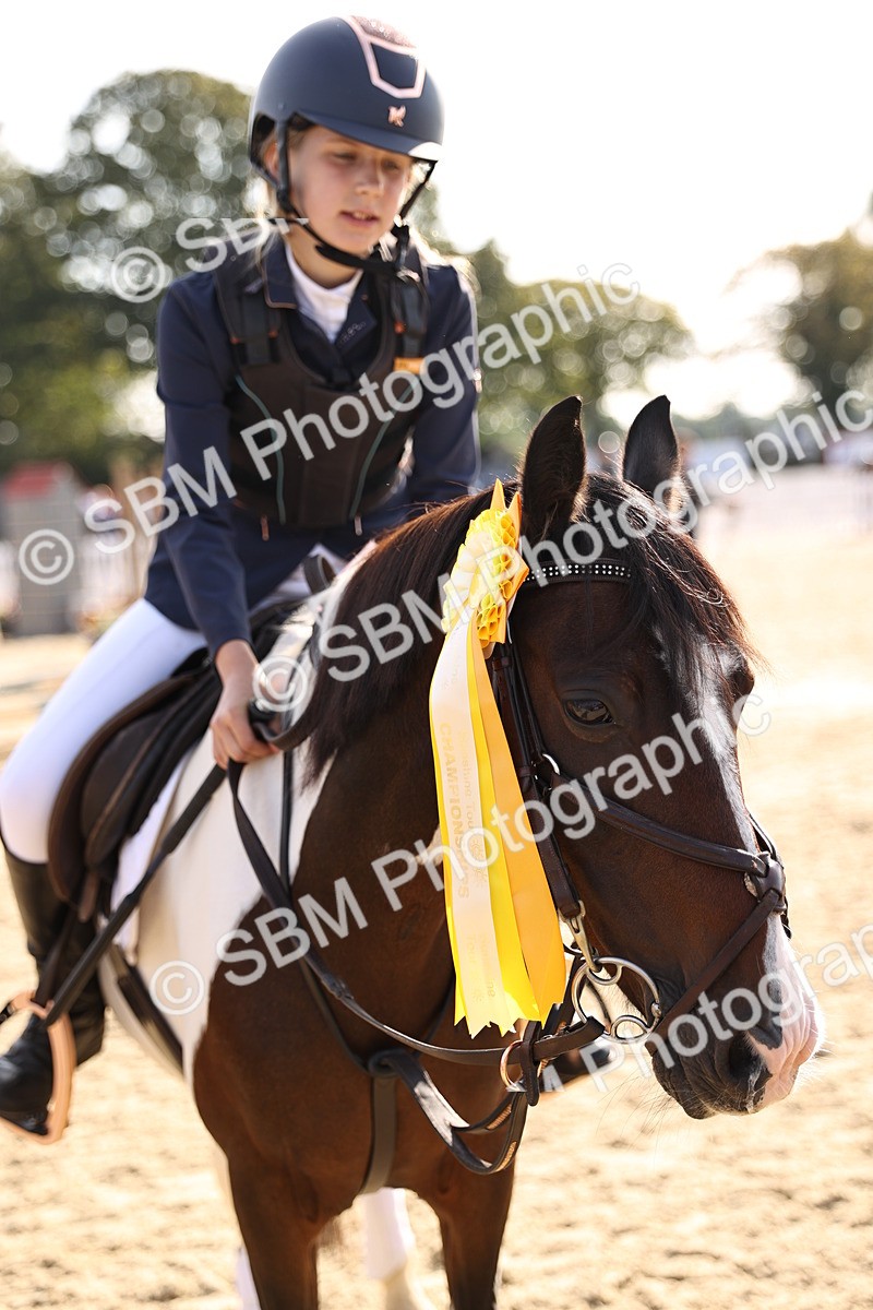 SBM_59757 - J11 - Junior Pony 50cm Championship