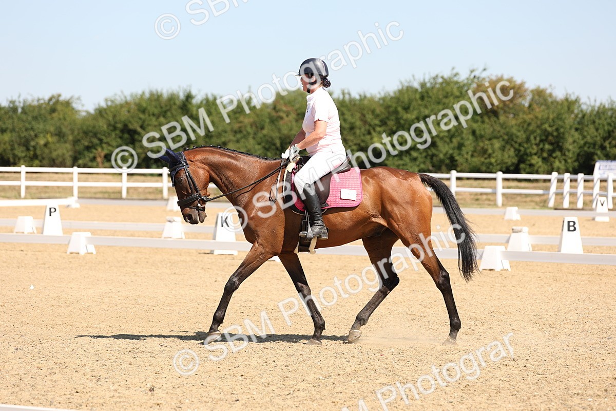 SBM_001159 - Intro 2