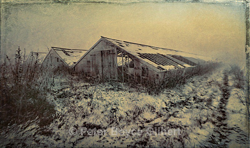 Decaying greenhouses in winter - The Countryside