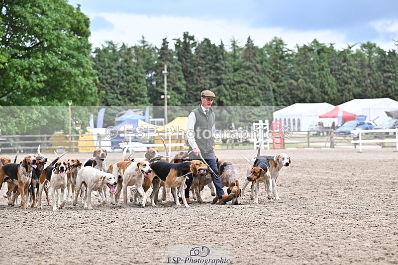 250524A-152212-12691 - East Devon Hounds