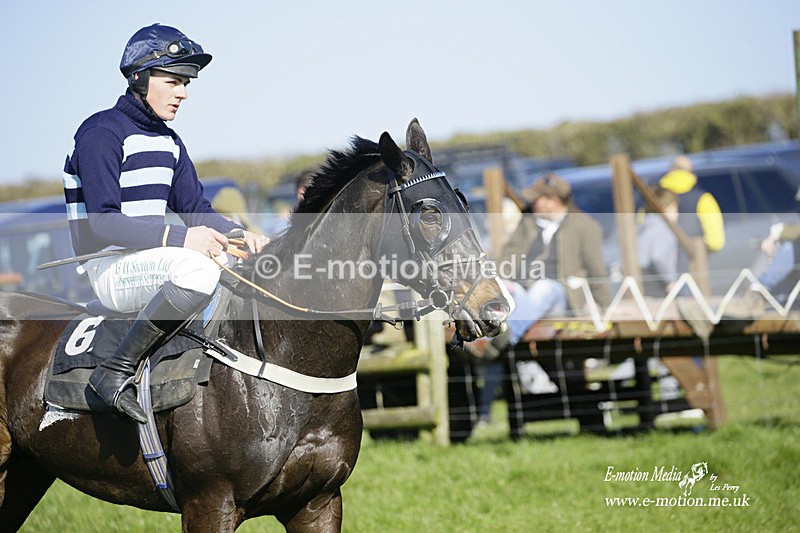 PtP 190322 545 - Wilton Hunt PtP Milborne St Andrew 19/03/22
