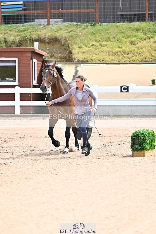 240718A-105236-00882 - Trot Up 11am to 12pm