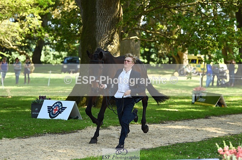 230524-161640-00808 - 262-TREAMBLE-Finn_Healy-WEDTrotUp+DR