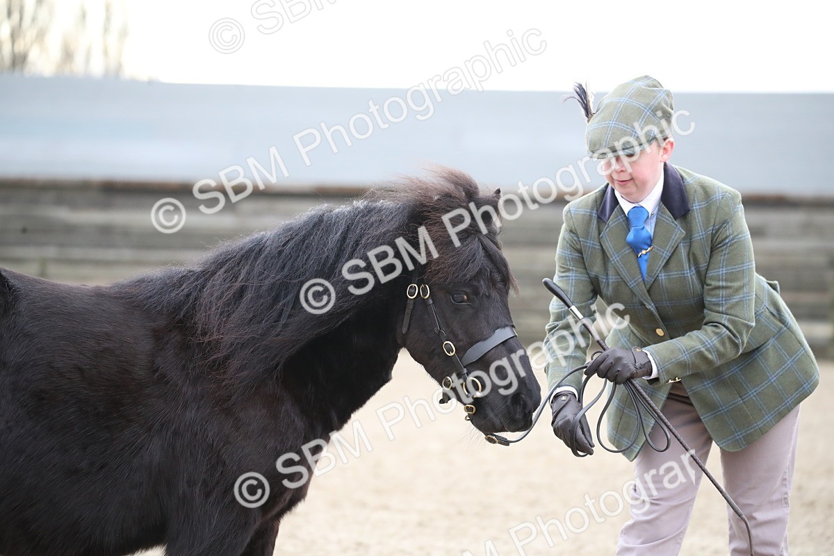 SBM_003892 - Class 1-4 - Young Stock classes Inc. In Hand Championship