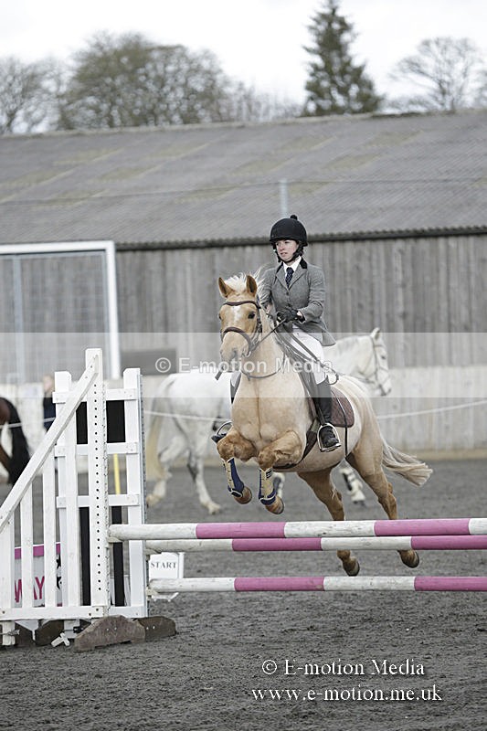 BVRC 050320 0200 - Bourne Valley riding Club Show Jumping Tidworth 08/03/20