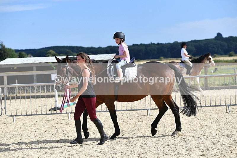 WJ5_5516 - Poles on the Floor