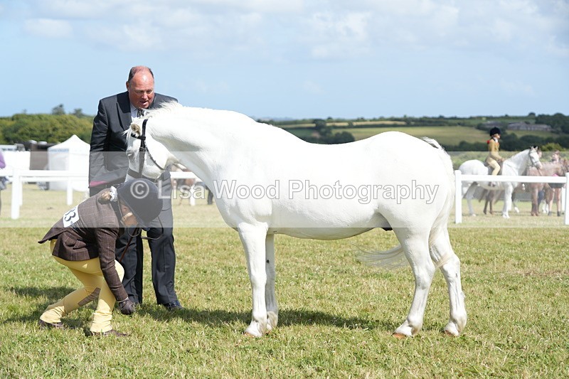 DSC07604 - Class 62: Child Handler