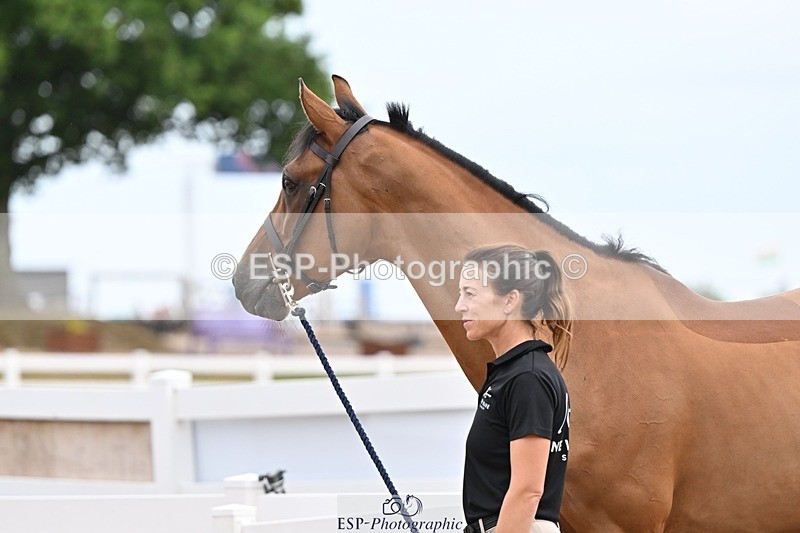 250716-152542-01930 - Trot Up 2.30 to 3.30