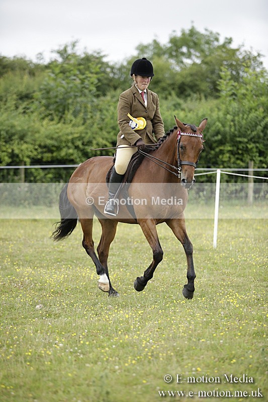 BVR160717-1066 - Ring 1 BVRC Show 16/07/17