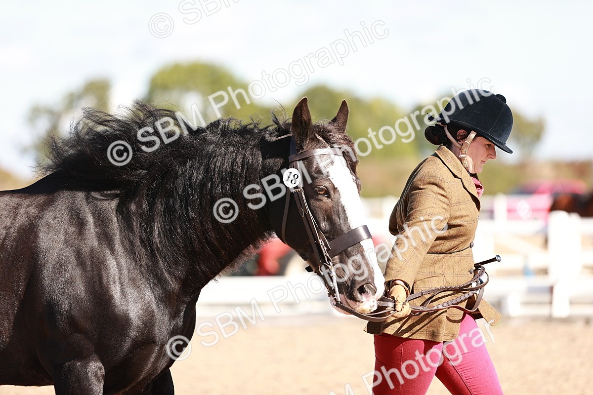 SBM_12616 - Class 404 - IH Traditional - Native Cob