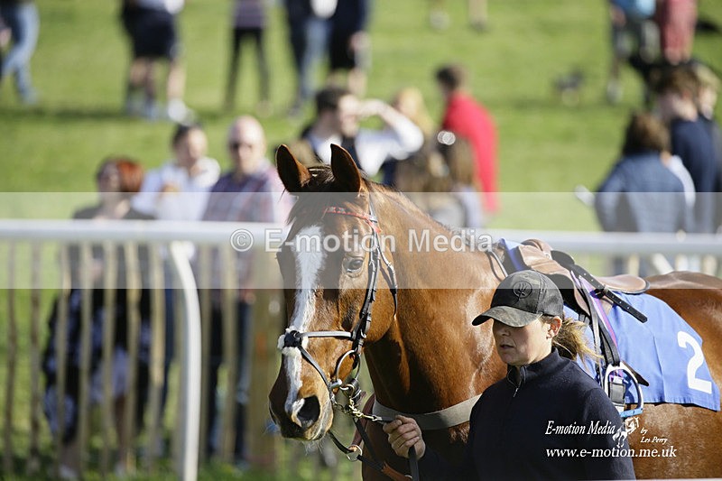 PtP 180422 313 - Old Berkshire PtP Lockinge 18/04/22
