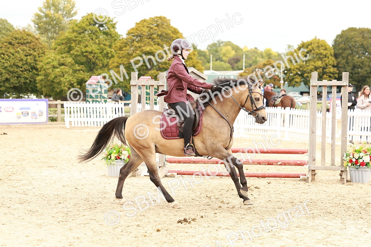 SBM_63695 - J12 - Junior Pony 55cm Championship