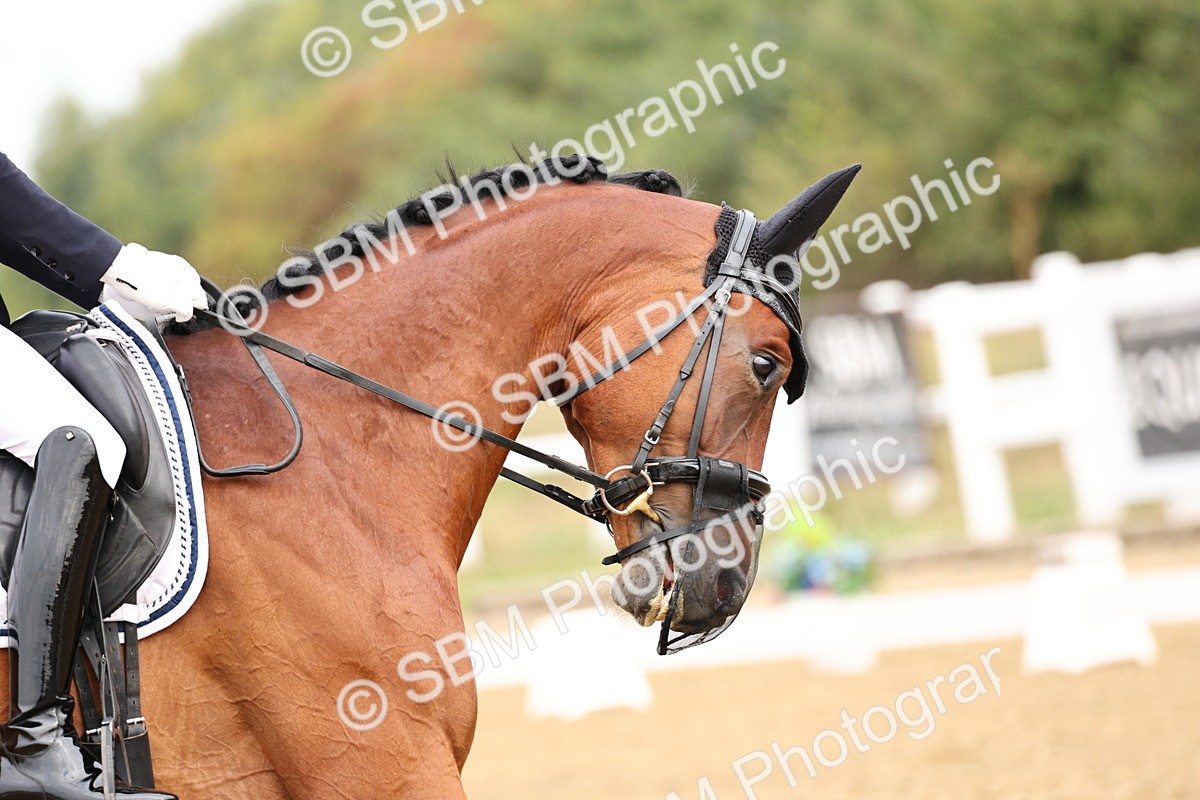 SBM_011359 - Class 1 - Prelim 4