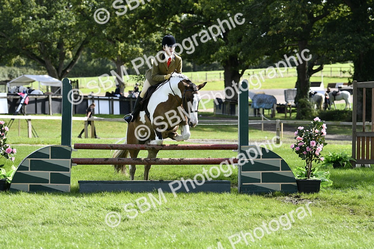 SBM_45697 - S33 - Working Hunter Pony