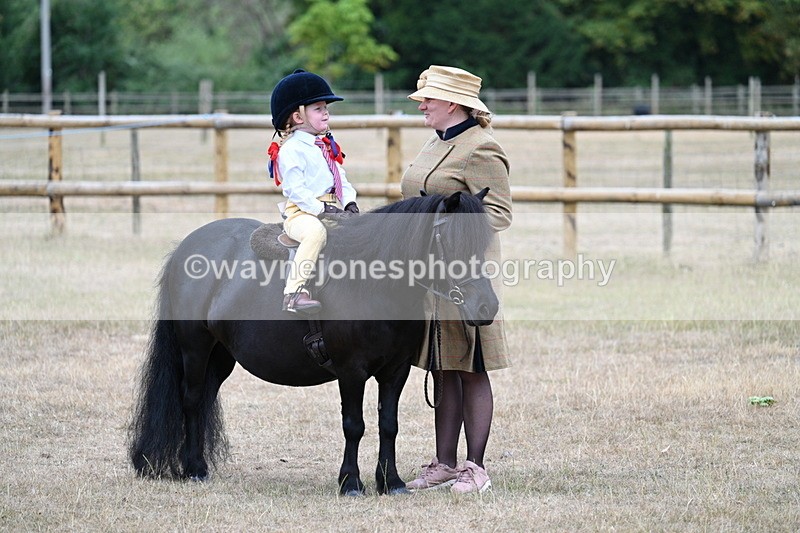 WJ7_8396 - Class 4 Prettiest Mare up to 14.2hh
