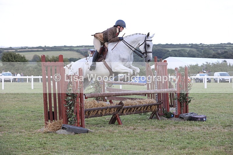 JPP_3642 - Class 24: Open Working Hunter