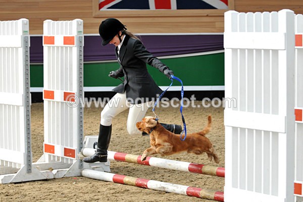 equiscot 3114 - NICOLA CAPPER