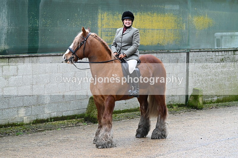 WJ7_8703 - Berks & Bucks - Rowles Farm 15-02-26