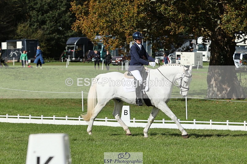 251024A-133036-12590 - H-651-Victoria.Tar