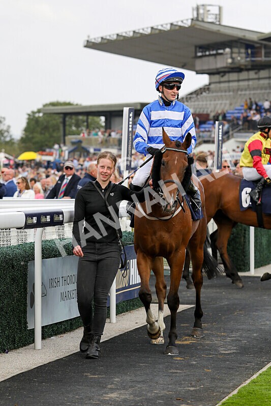 310824-Race 8-This Years Love-2379 - Race 8