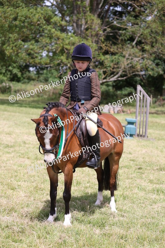20260614-2145 - Class 21 - Novice Working Hunter Pony