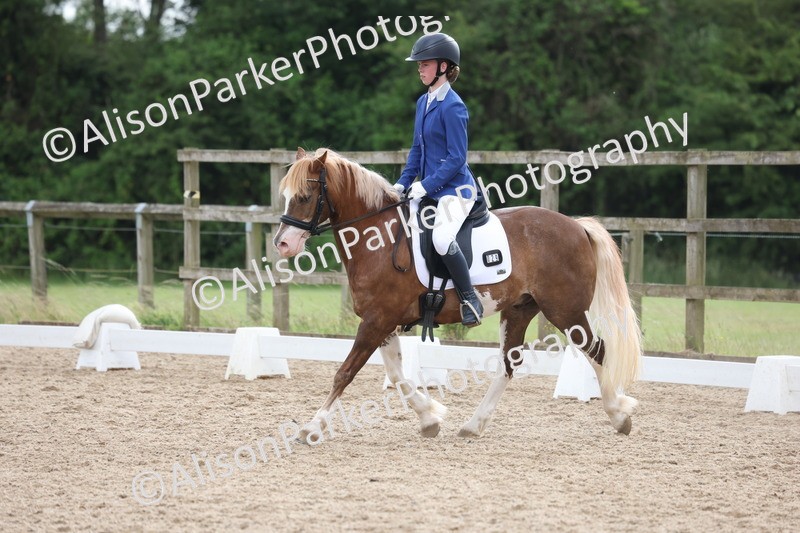 20250614-1496 - Class 7 - Elementary 2