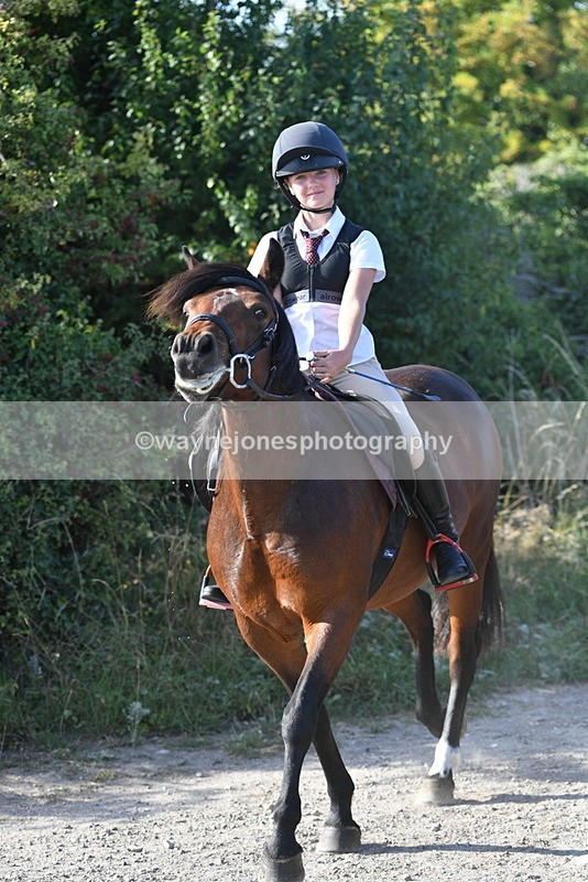 WJ5_5053 - Walk out with the hounds